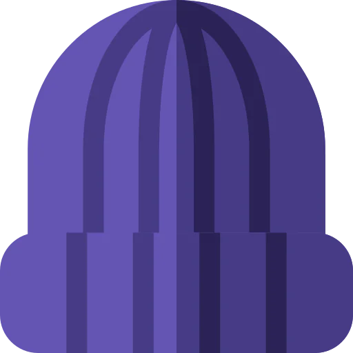 Accessory icon