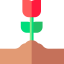 Rose icon 64x64