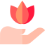 Lotus icon 64x64