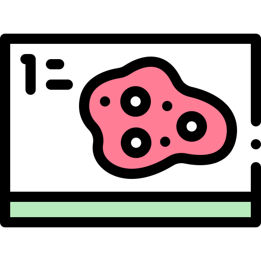 Microscope slides icon