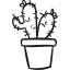 Two Cactus In a Pot icon 64x64