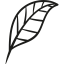 Plant Leaf Garden icon 64x64
