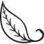 Leaf icon 64x64