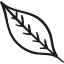 Fall Leaf icon 64x64