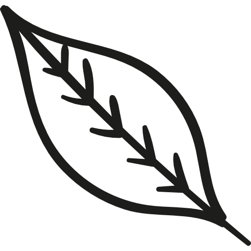 Fall Leaf icon