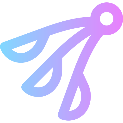 Duster icon