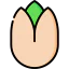 Pistachio icon 64x64