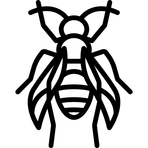 Bee icon
