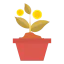 Growth icon 64x64