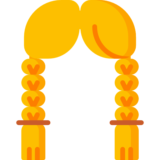 Braid icon