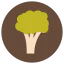 Broccoli biểu tượng 64x64