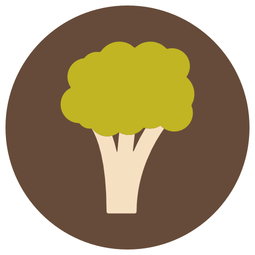 Broccoli icon