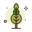 Oak icon 64x64
