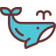 Whale icon 64x64