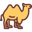Camel icon 64x64