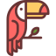 Toucan icon 64x64
