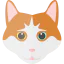 Turkish van icon 64x64
