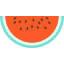 Watermelon icon 64x64
