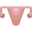 Uterus icon 64x64
