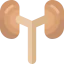 Urology icon 64x64