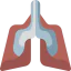 Lungs ícono 64x64
