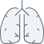 Lungs ícono 64x64