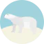 Polar bear icon 64x64