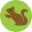 Squirrel icon 64x64