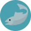 Fish icon 64x64