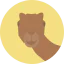 Верблюд иконка 64x64