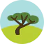 Tree icon 64x64