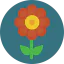 Flower icon 64x64
