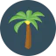 Palm tree Ikona 64x64