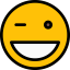 Wink icon 64x64