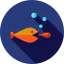 Соревнование иконка 64x64