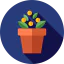 Plant icon 64x64