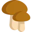 Mushrooms icon 64x64