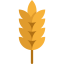 Пшеница иконка 64x64