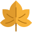 Maple leaf 图标 64x64