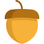 Acorn icon 64x64