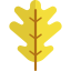Leaf icon 64x64