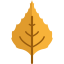 Leaf icon 64x64