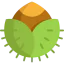 Nut іконка 64x64