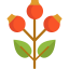 Roses icon 64x64