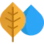 Leaf icon 64x64