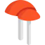 Mushrooms icon 64x64