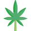 Cannabis icon 64x64
