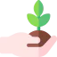 Sprout icon 64x64