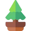 Pine іконка 64x64