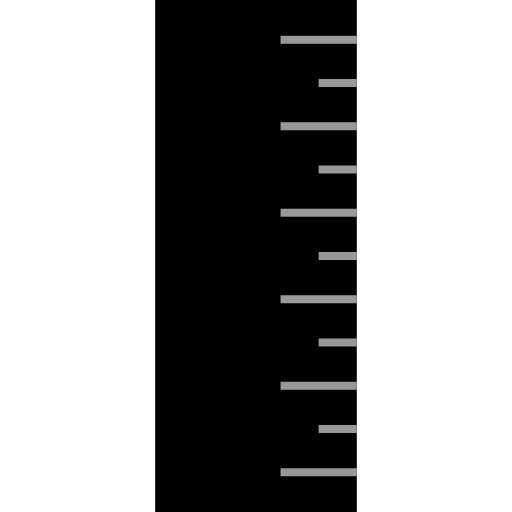 Ruler icon